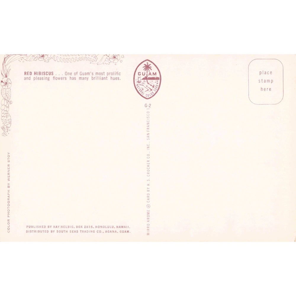Vintage Red Hibiscus Guam Postcard Werner Stoy South Seas Trading Co G-2 - Picture 2 of 2